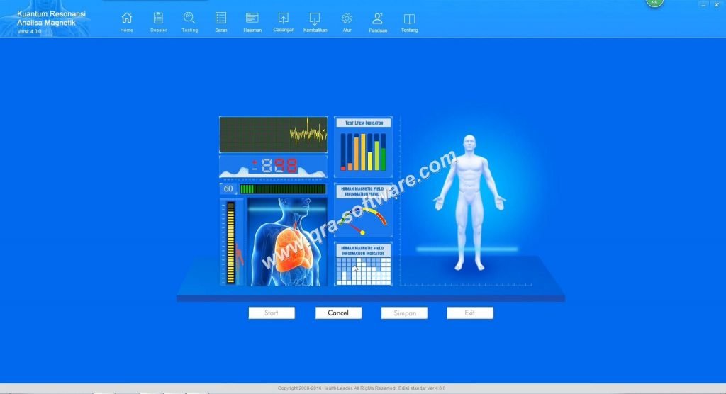 Qué Mide el Analizador Cuántico Bioeléctrico: Análisis Completo de Parámetros de Salud 2 Reporte del analizador cuántico mostrando análisis cardiovascular y cerebrovascular en pantalla de computadora